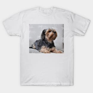 Cute Yorkie Yorkshire Terrier Sunbathing T-Shirt